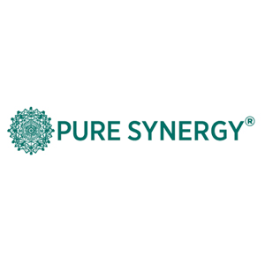 The Synergy Company