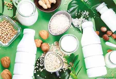 The Expanding Market for Plant-Based Beverages in Europe