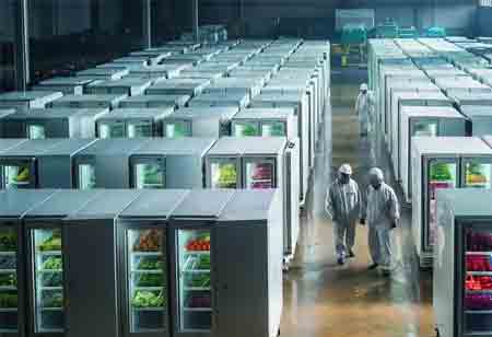 Building Dependable Commercial Refrigeration Capacity for Growing Foodservice Brands Building Dependable Commercial Refrigeration Capacity for Growing Foodservice Brands