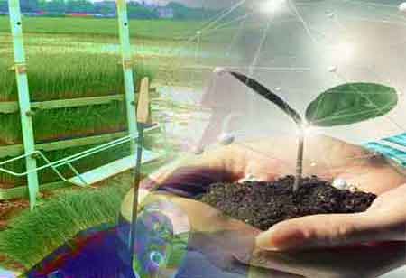 Food Business Review