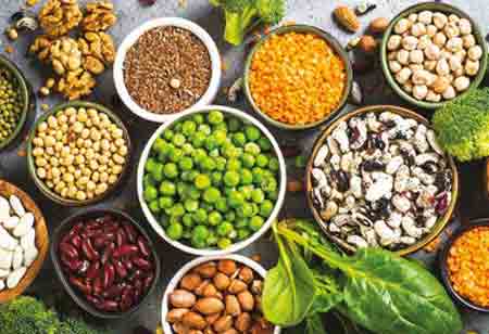 The Rise of Vegan Protein: A Shift in Global Food Trends