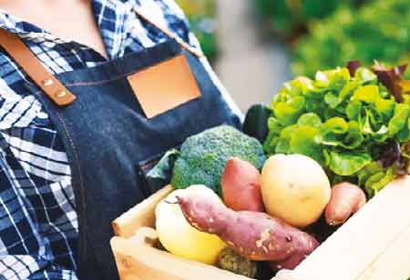 How Can Food Manufacturing Practices Ensure Sustainable Food Systems?