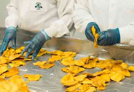 Building Reliability in Dried Chili Supply Chains