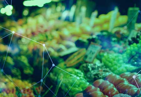 Various Approaches to Addressing Food Safety Testing Challenges
