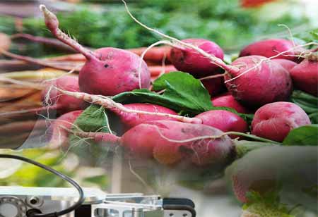 Guaranteeing Food Sector Safety By Transport Packaging Technologies And Materials