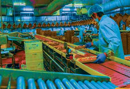 Food Companies Transforming Food Packaging Using IoT