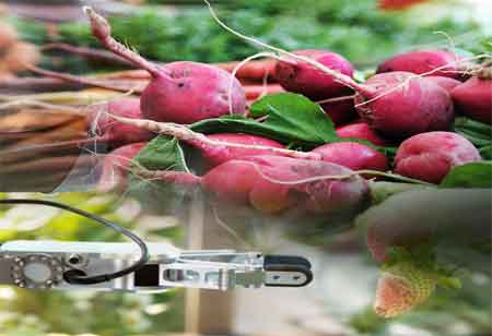 How Digital Technology Improves the Efficiency of Food and Beverage Manufacturing Plants