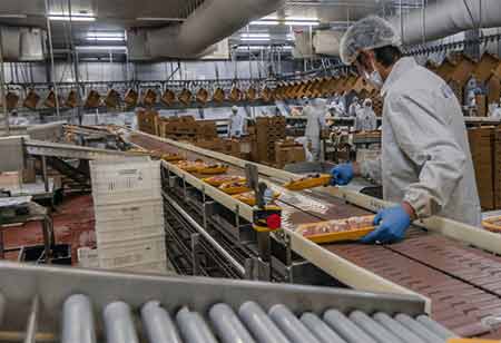Consumer Demand Has Become The Reason For Increasing Challenges For Food Processors.