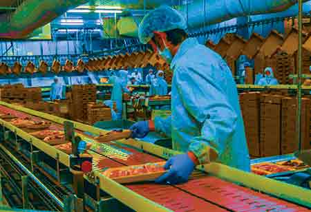 What is the Significance of Sustainable Food Practices?