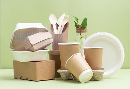 The Evolution of Eco-Friendly Packaging in the Food and Beverage Industry