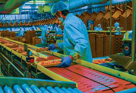 Food Safety Testing: What You Need to Know
