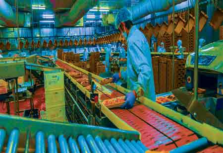 How Foodservice Equipment Dealers Can Navigate Evolving Consumer Preferences