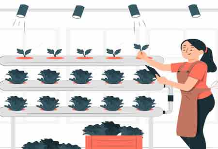 Strategies for Achieving Sustainable Food Production