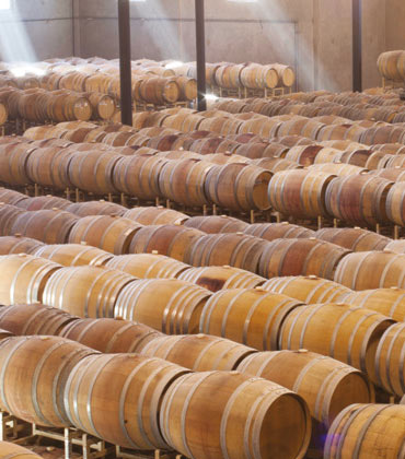 Bill Newlands, Constellation Brands [NYSE: STZ] | Food Business Review | Top Wine Producer Companies
