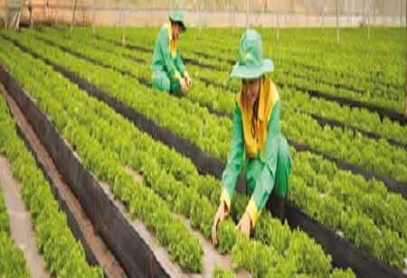 Alberto Regini, Director of Operations, Dobla | Food Business Review