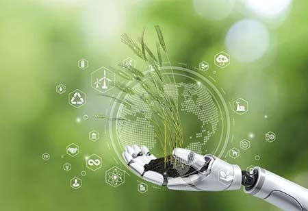 The Future of Grain Milling: AI-Powered Transformations