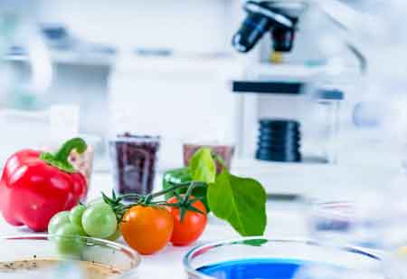 Overcoming the Obstacles of Food Imports