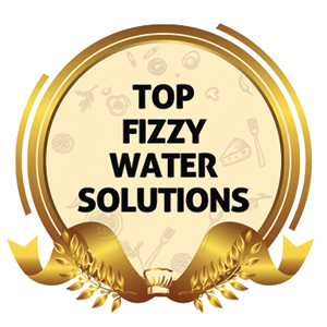 Top Fizzy Water Solutions