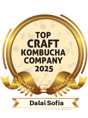 Top Craft Kombucha Company 2025